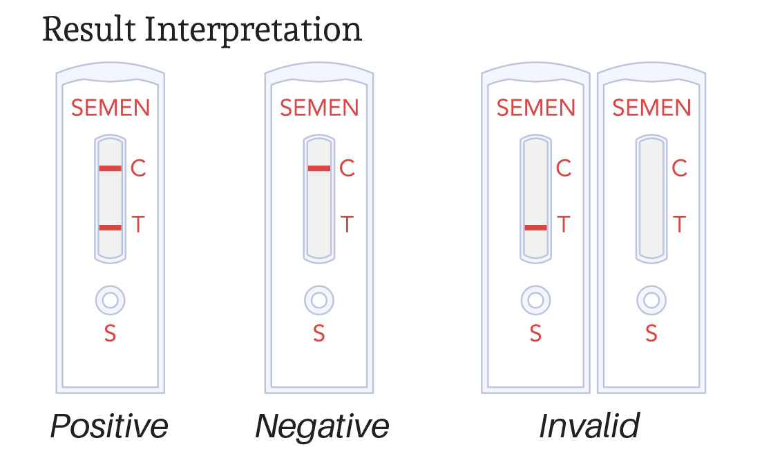 Sperm Detection Semen Detection Kit – DNA Direct Solutions - Your Relationship Testing ...
