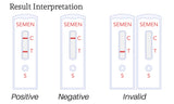 Semen Detection Kit