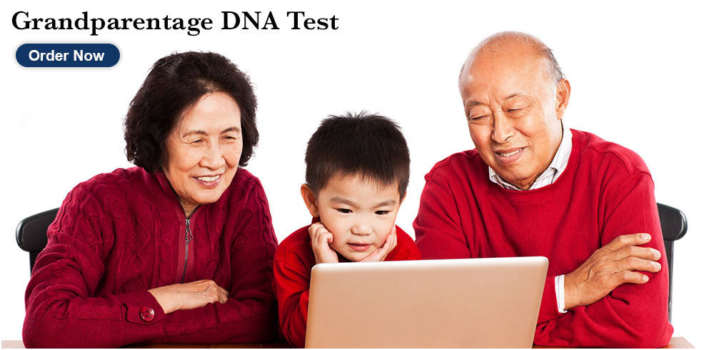 Grandparentage DNA Test