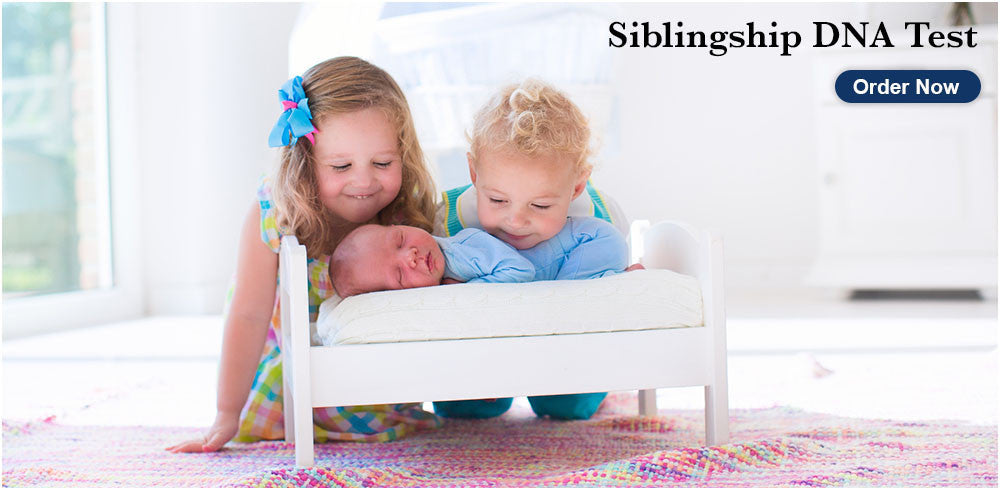 Siblingship DNA Test